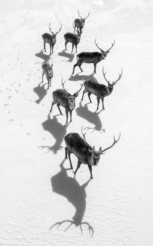 2017 National Geographic Travel Photographer of the Year Contest Winners.jpg